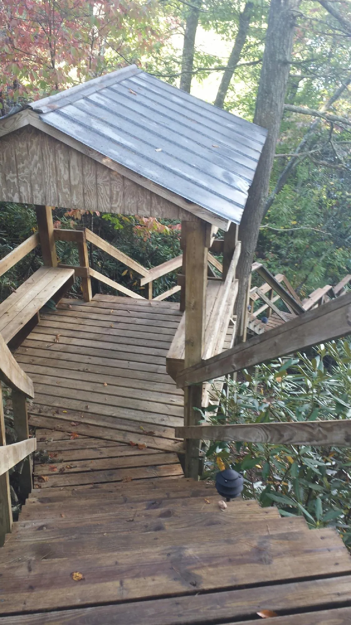Metal roofed shelter over wooden steps on a wooded walkway — Skylight Repair & Installation work by our crew in Palomar Mountain